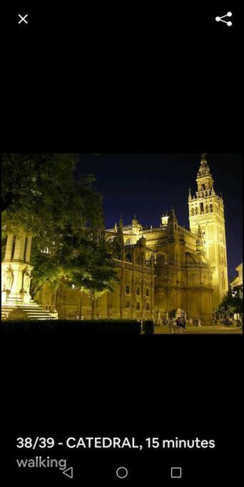 Apartamento En El Casco Antiguo Junto Alameda H. セビリア エクステリア 写真